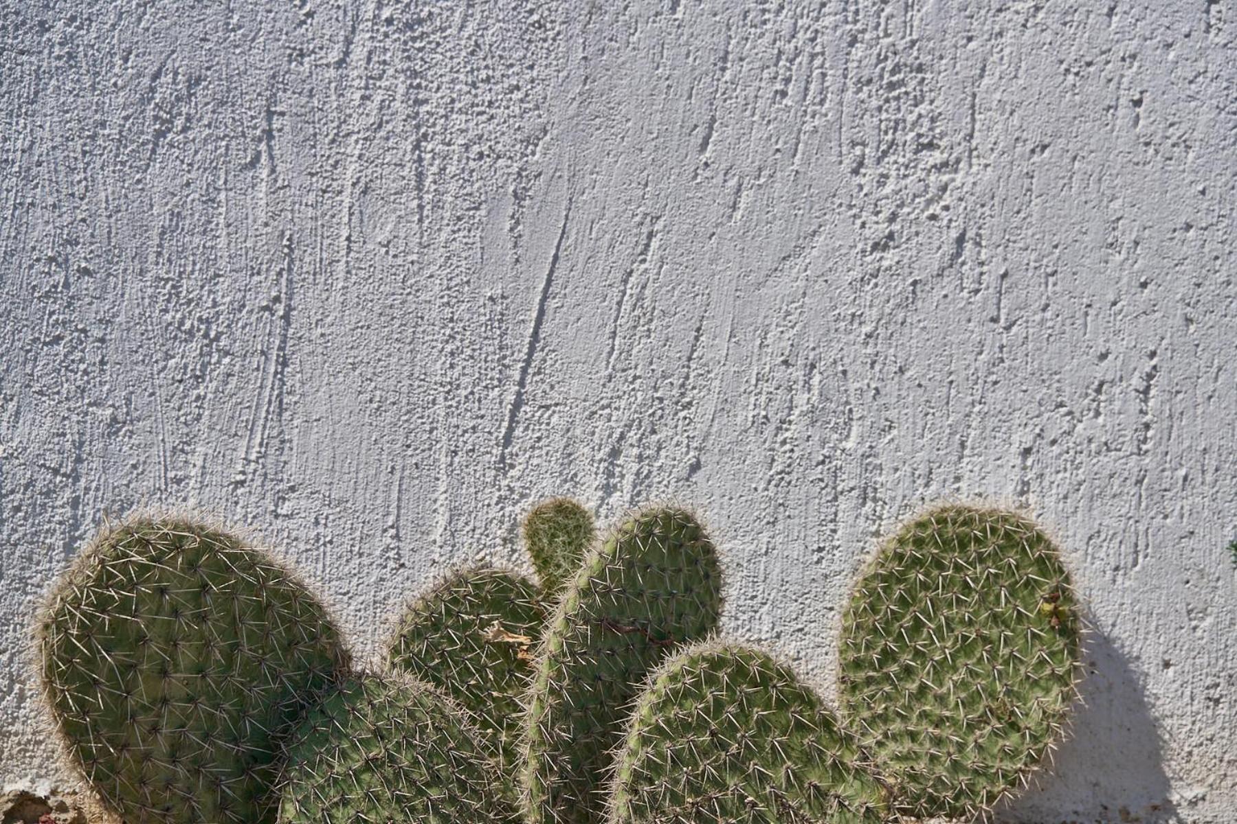 Topos Exclusive Santorini Imerovigli  Exteriör bild