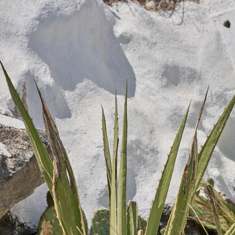 Topos Exclusive Santorini Imerovigli  Exteriör bild